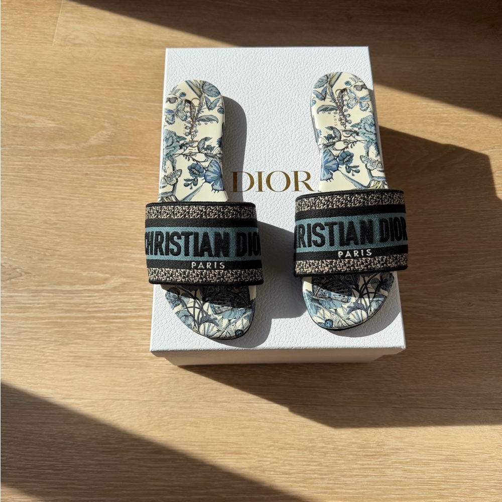 Dior Dway Slides - Picture 1 of 6